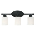 CAPITAL LIGHTING, DIXON VANITY, VANITY LIGHT