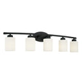 CAPITAL LIGHTING, DIXON VANITY, VANITY LIGHT