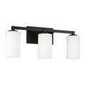 CAPITAL LIGHTING, RAVENWOOD VANITY, VANITY LIGHT