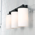 CAPITAL LIGHTING, RAVENWOOD VANITY, VANITY LIGHT
