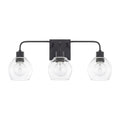 CAPITAL LIGHTING, TANNER VANITY, VANITY LIGHT