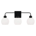 CAPITAL LIGHTING, TANNER VANITY, VANITY LIGHT