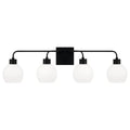 CAPITAL LIGHTING, TANNER VANITY, VANITY LIGHT