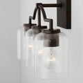 CAPITAL LIGHTING, CARTER VANITY, VANITY LIGHT