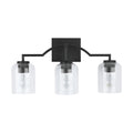 CAPITAL LIGHTING, CARTER VANITY, VANITY LIGHT