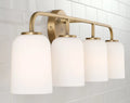 CAPITAL LIGHTING, LAWSON VANITY, VANITY LIGHT