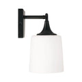 CAPITAL LIGHTING, PRESLEY VANITY, VANITY LIGHT