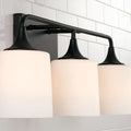 CAPITAL LIGHTING, PRESLEY VANITY, VANITY LIGHT