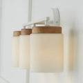 CAPITAL LIGHTING, LIAM VANITY, VANITY LIGHT