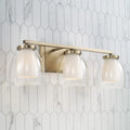 CAPITAL LIGHTING, JOSS VANITY, VANITY LIGHT