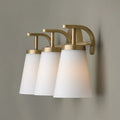 CAPITAL LIGHTING, DRAKE VANITY, VANITY LIGHT