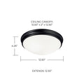 CAPITAL LIGHTING, HANSEN FLUSH MOUNT, FLUSH MOUNT CEILING LIGHTS