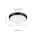 CAPITAL LIGHTING, HANSEN FLUSH MOUNT, FLUSH MOUNT CEILING LIGHTS