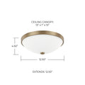 CAPITAL LIGHTING, PERKINS FLUSH MOUNT, FLUSH MOUNT CEILING LIGHTS