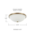 CAPITAL LIGHTING, PERKINS FLUSH MOUNT, FLUSH MOUNT CEILING LIGHTS
