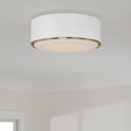 CAPITAL LIGHTING, CARLTON FLUSH, FLUSH MOUNT CEILING LIGHTS
