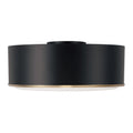 CAPITAL LIGHTING, CARLTON FLUSH, FLUSH MOUNT CEILING LIGHTS