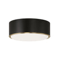 CAPITAL LIGHTING, CARLTON FLUSH, FLUSH MOUNT CEILING LIGHTS