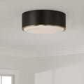 CAPITAL LIGHTING, CARLTON FLUSH, FLUSH MOUNT CEILING LIGHTS
