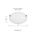 CAPITAL LIGHTING, ALAN FLUSH MOUNT, FLUSH MOUNT CEILING LIGHTS