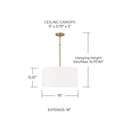 CAPITAL LIGHTING, ALAN PENDANT, PENDANT LIGHT