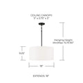 CAPITAL LIGHTING, ALAN PENDANT, PENDANT LIGHT