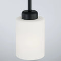CAPITAL LIGHTING, DIXON PENDANT, PENDANT LIGHT