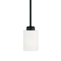 CAPITAL LIGHTING, DIXON PENDANT, PENDANT LIGHT