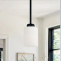 CAPITAL LIGHTING, DIXON PENDANT, PENDANT LIGHT