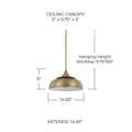 CAPITAL LIGHTING, MAX PENDANT, PENDANT LIGHT
