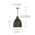 CAPITAL LIGHTING, SANA PENDANT, PENDANT LIGHT