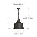 CAPITAL LIGHTING, QUARRY PENDANT, PENDANT LIGHT