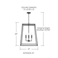 CAPITAL LIGHTING, CLINT PENDANT, PENDANT LIGHT