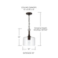 CAPITAL LIGHTING, CARTER PENDANT, PENDANT LIGHT
