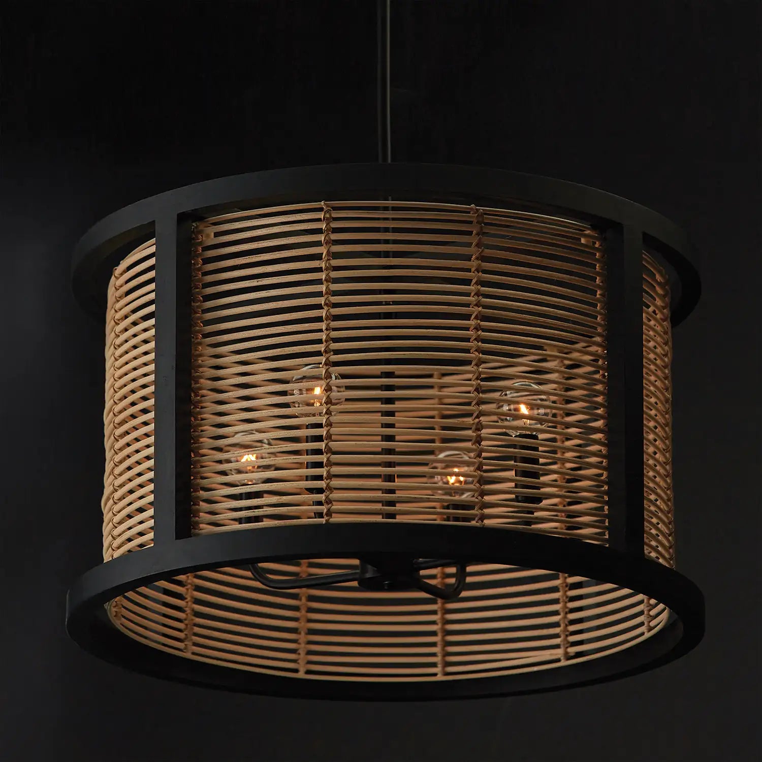 CAPITAL LIGHTING, RICO PENDANT, PENDANT LIGHT