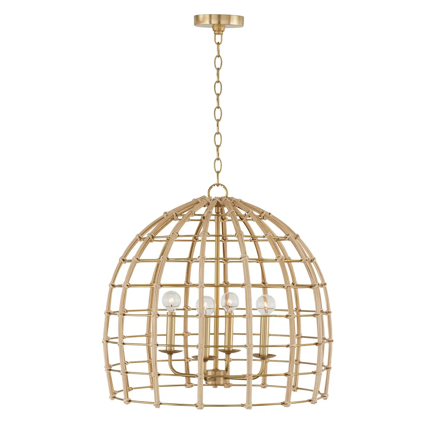 CAPITAL LIGHTING, WREN PENDANT, PENDANT LIGHT