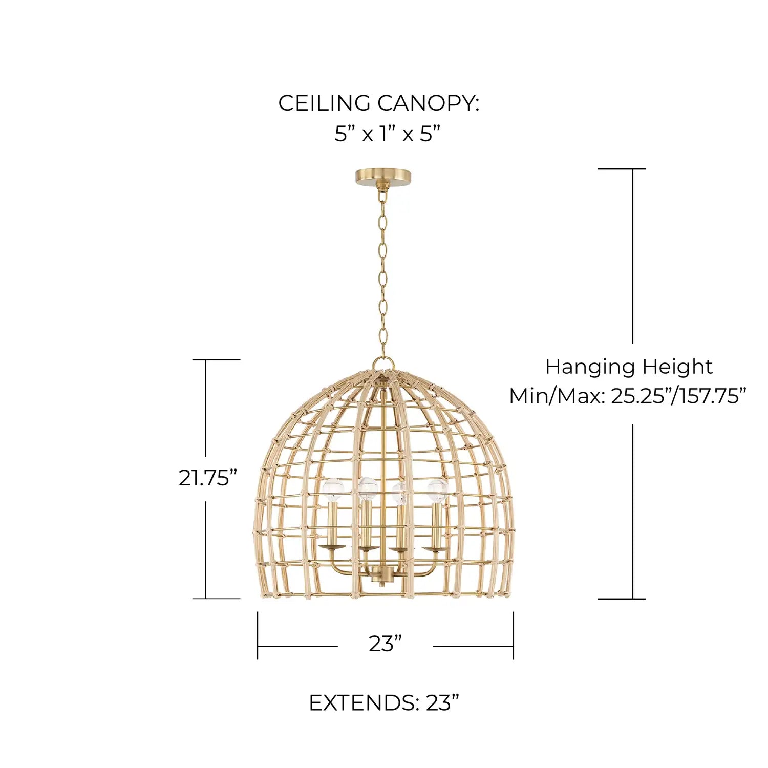 CAPITAL LIGHTING, WREN PENDANT, PENDANT LIGHT
