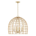 CAPITAL LIGHTING, WREN PENDANT, PENDANT LIGHT