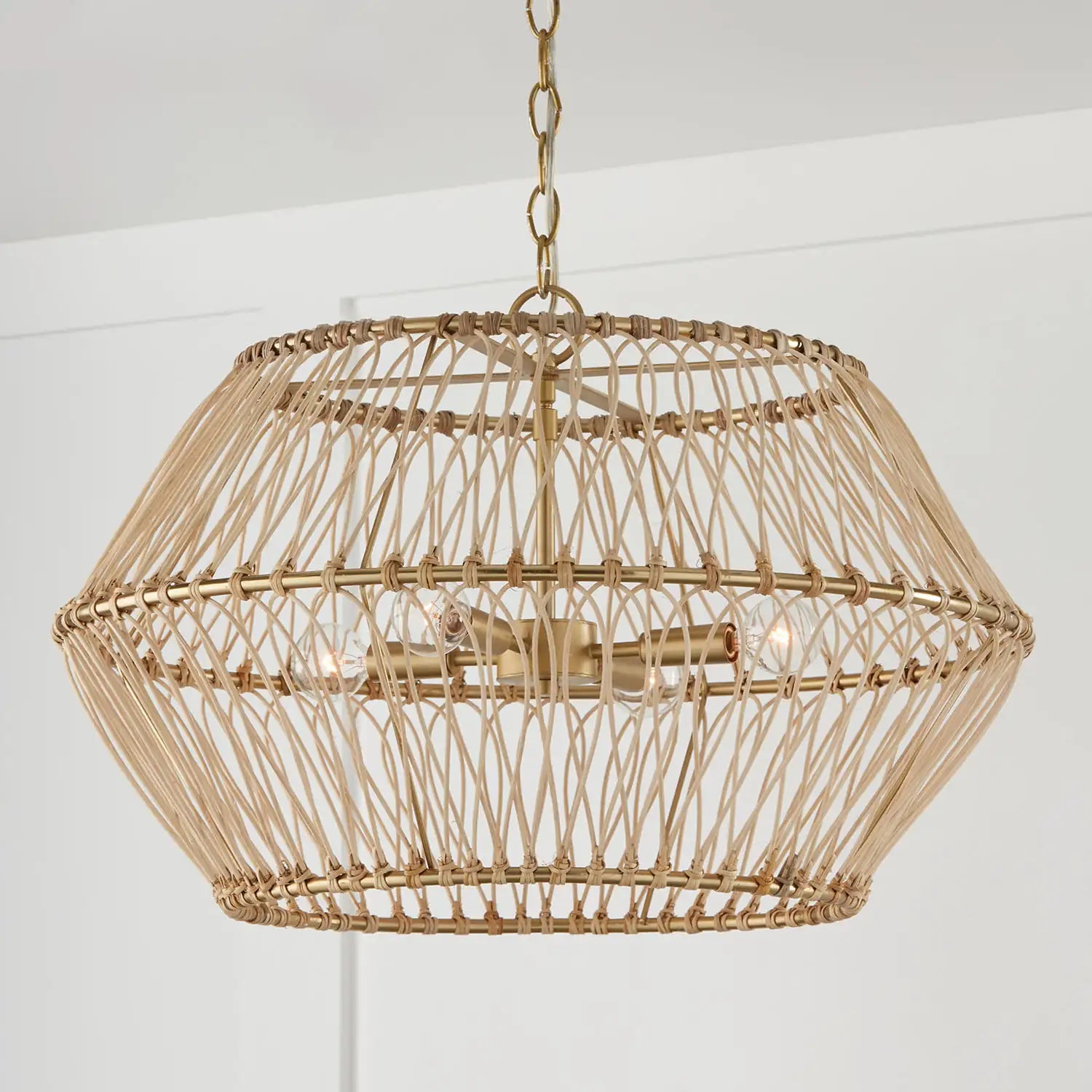 CAPITAL LIGHTING, WREN PENDANT, PENDANT LIGHT