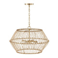 CAPITAL LIGHTING, WREN PENDANT, PENDANT LIGHT