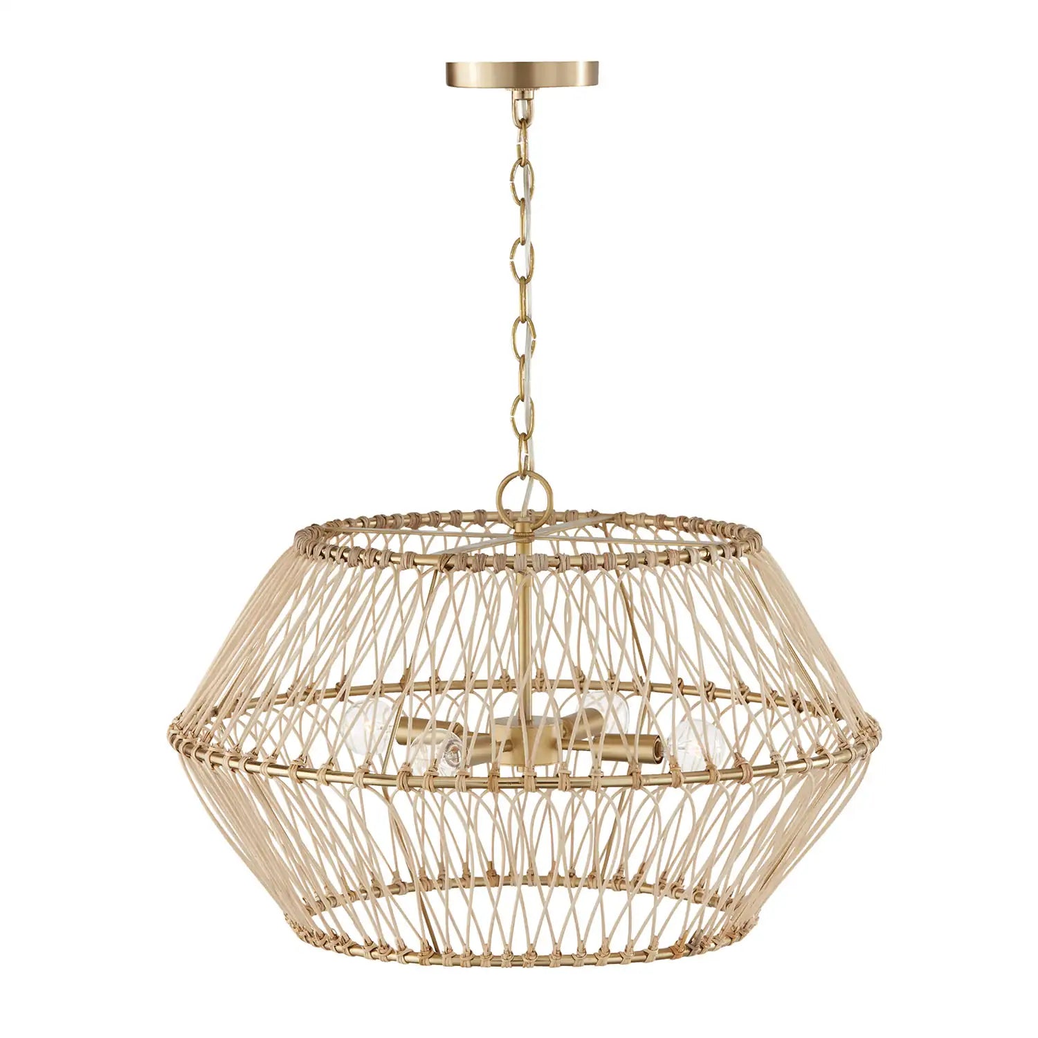 CAPITAL LIGHTING, WREN PENDANT, PENDANT LIGHT