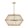 CAPITAL LIGHTING, WREN PENDANT, PENDANT LIGHT