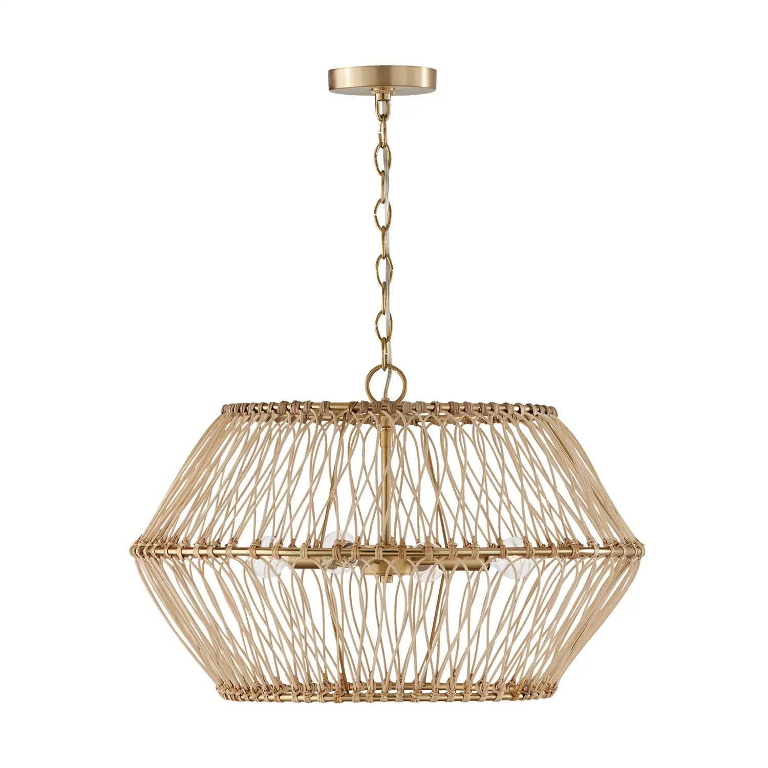 CAPITAL LIGHTING, WREN PENDANT, PENDANT LIGHT