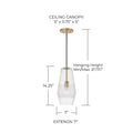 CAPITAL LIGHTING, DENA PENDANT, PENDANT LIGHT