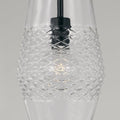 CAPITAL LIGHTING, DENA PENDANT, PENDANT LIGHT