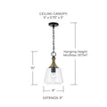 CAPITAL LIGHTING, AMARA PENDANT, PENDANT LIGHT