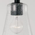 CAPITAL LIGHTING, BAKER PENDANT, PENDANT LIGHT