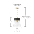 CAPITAL LIGHTING, FINN PENDANT, PENDANT LIGHT