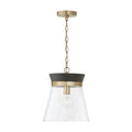 CAPITAL LIGHTING, FINN PENDANT, PENDANT LIGHT