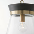 CAPITAL LIGHTING, FINN PENDANT, PENDANT LIGHT